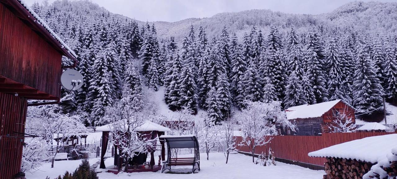 Садиба Квітка Карпат Ruska Mokra Exterior foto